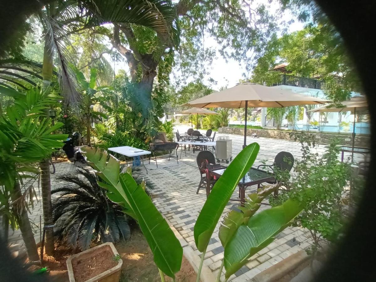 Lucky Beach Resort 亭可马里 外观 照片