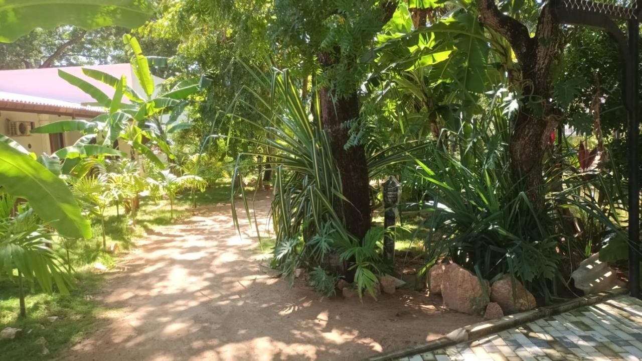Lucky Beach Resort 亭可马里 外观 照片