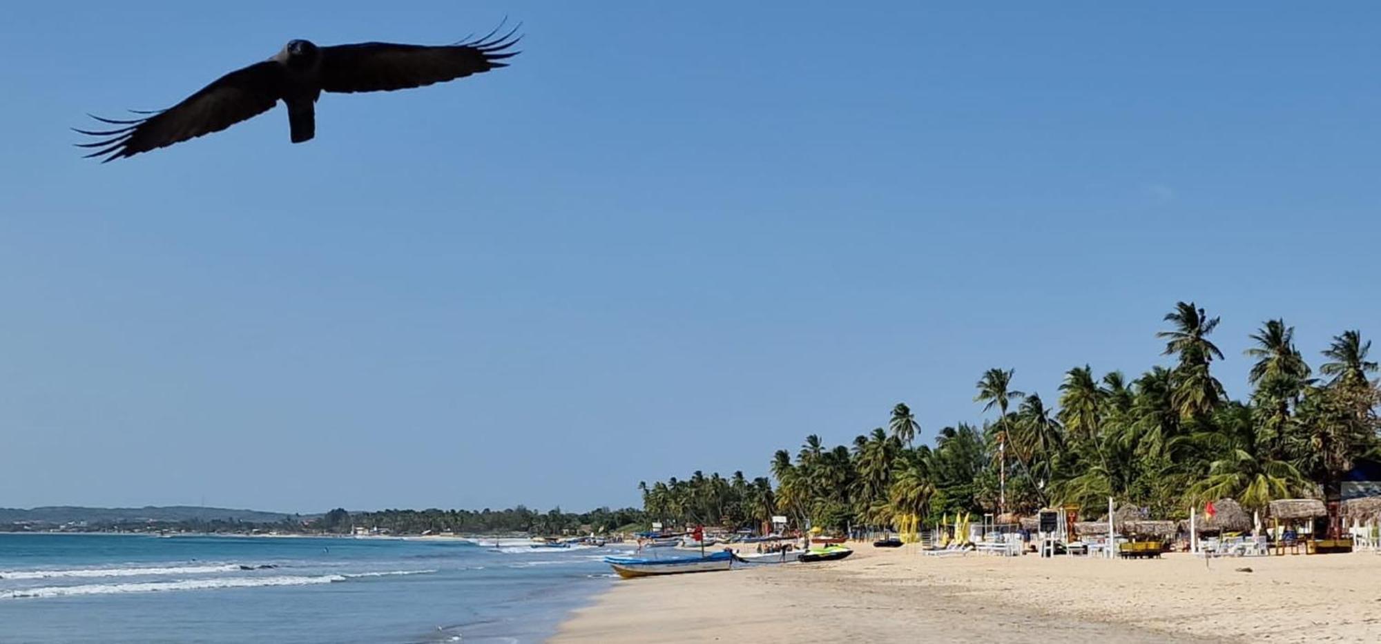 Lucky Beach Resort 亭可马里 外观 照片